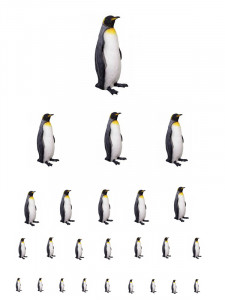 Tučňáci kopie